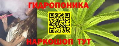 прущие грибы Рязань