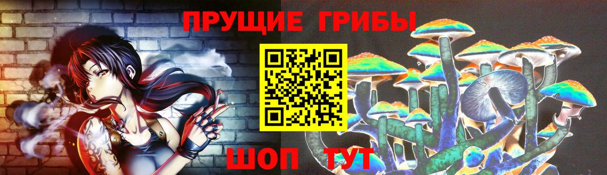 Рассказово  Псилоцибиновые грибы мицелий  Вход с VPN 